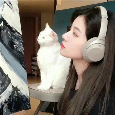 花颜劫